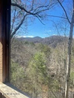 Photo of 419 Sassafras Tr