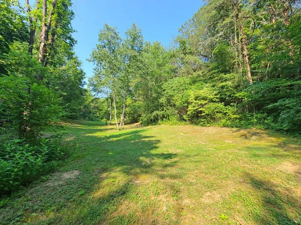 Photo of 1111 Lindsey Drive