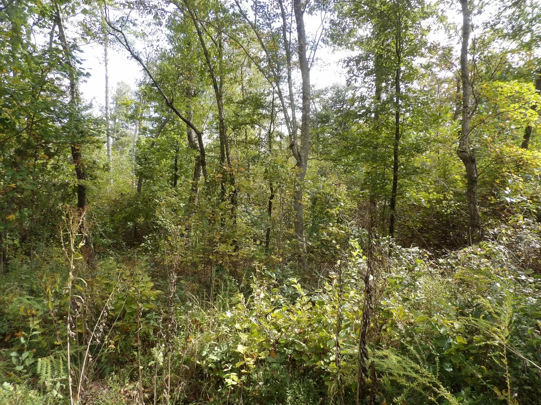 Photo of 112 Oak Ridge Dr