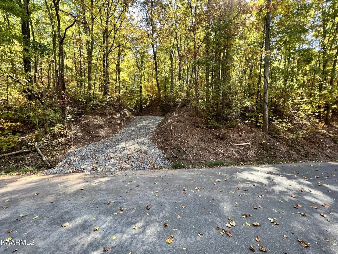 Photo of 2065 Dyer Hollow  Rd