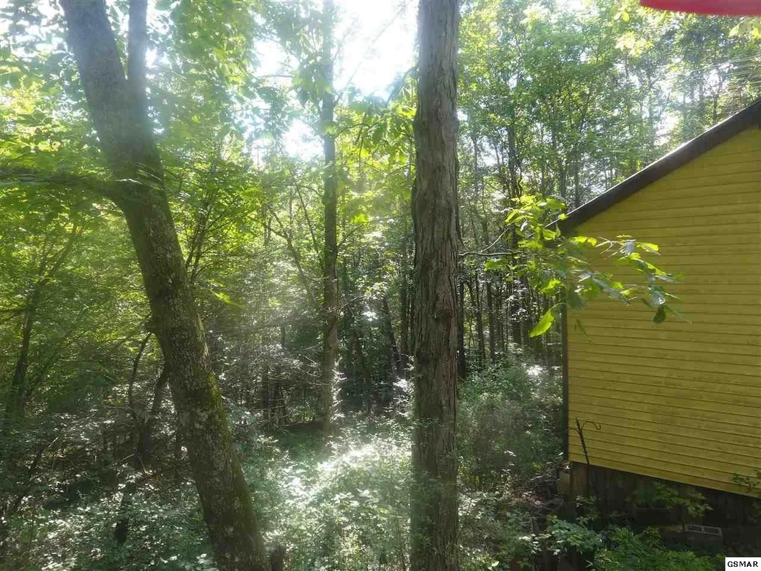 Photo of 3695 Shady Springs Way