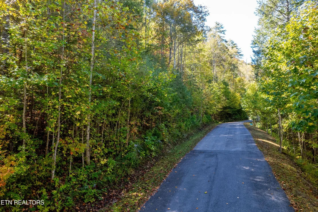 Photo of 716 Tanasi Trail