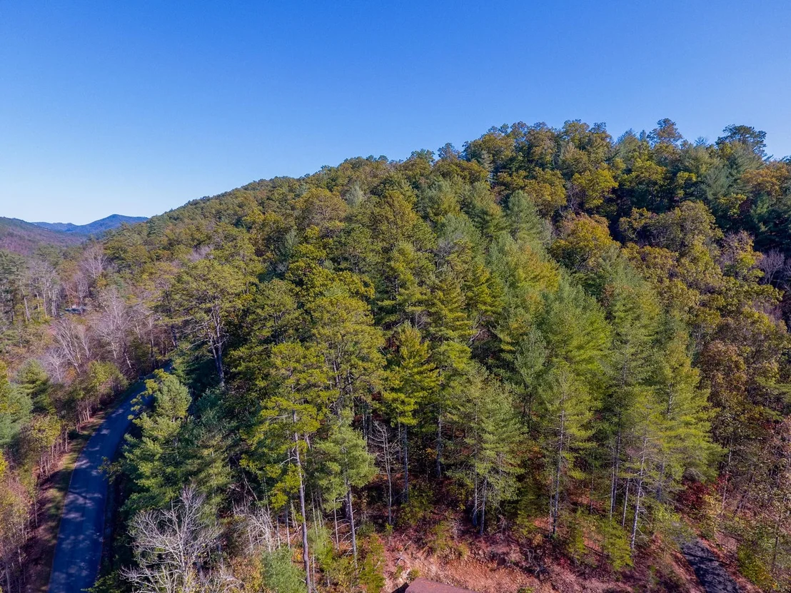 Photo of 115 Le Conte View Lane