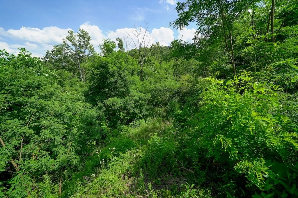 Photo of 714 Pinecrest Drive