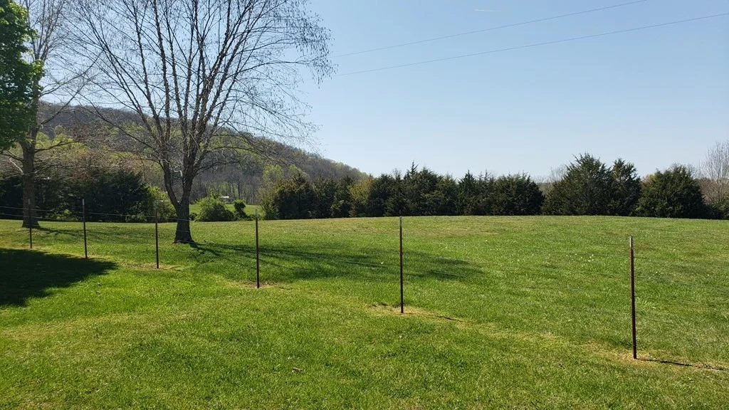 Photo of 339 Thomas Loop Road