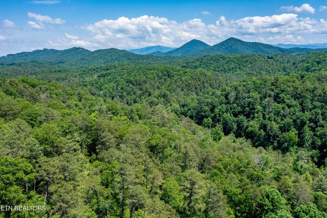 Photo of 0 Chilhowee Loop