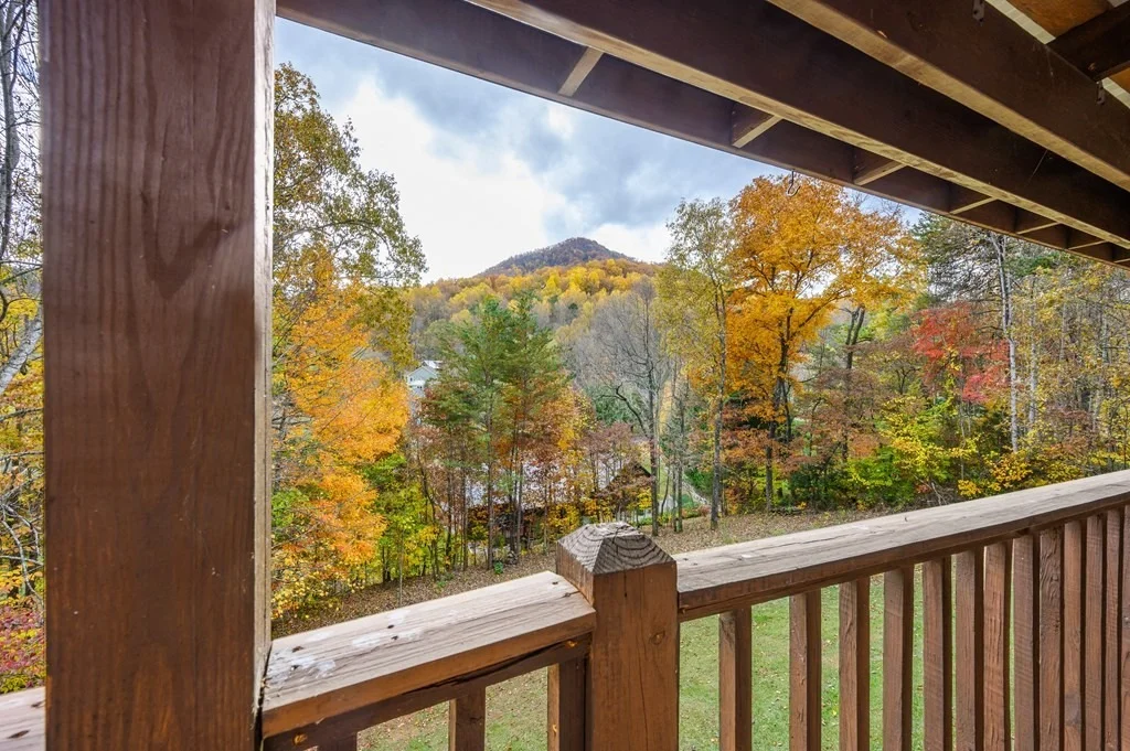 Photo of 3833 Saddle Brook Way