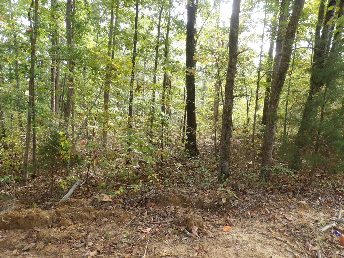Photo of 112 Oak Ridge Dr