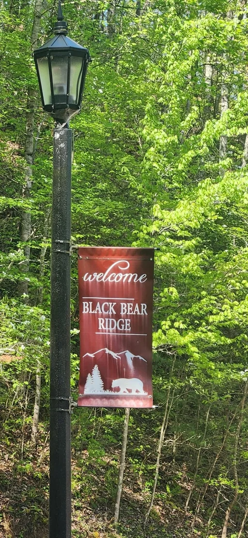 Photo of 1154 Black Bear Cub Way