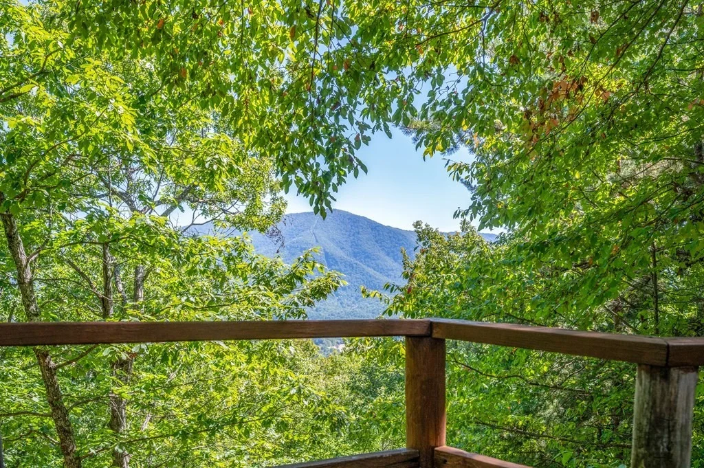 Photo of 2928 Mockingbird Way