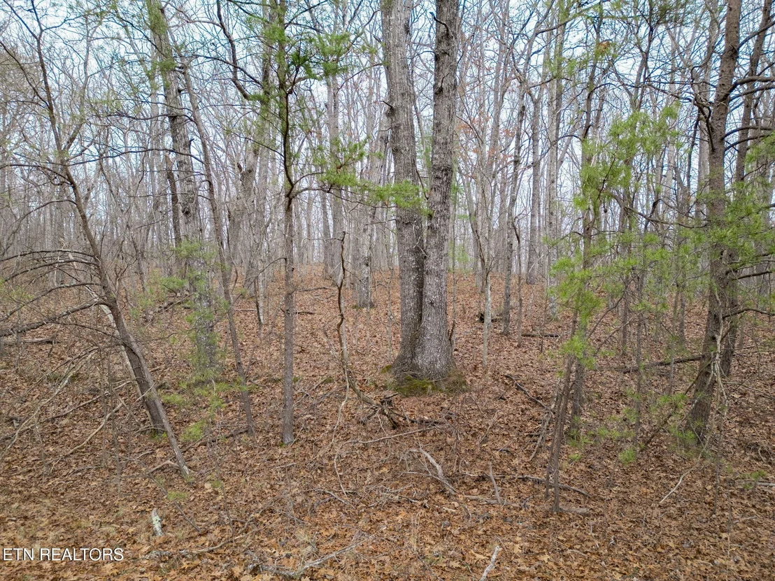 Photo of 113 Cliffside Drive