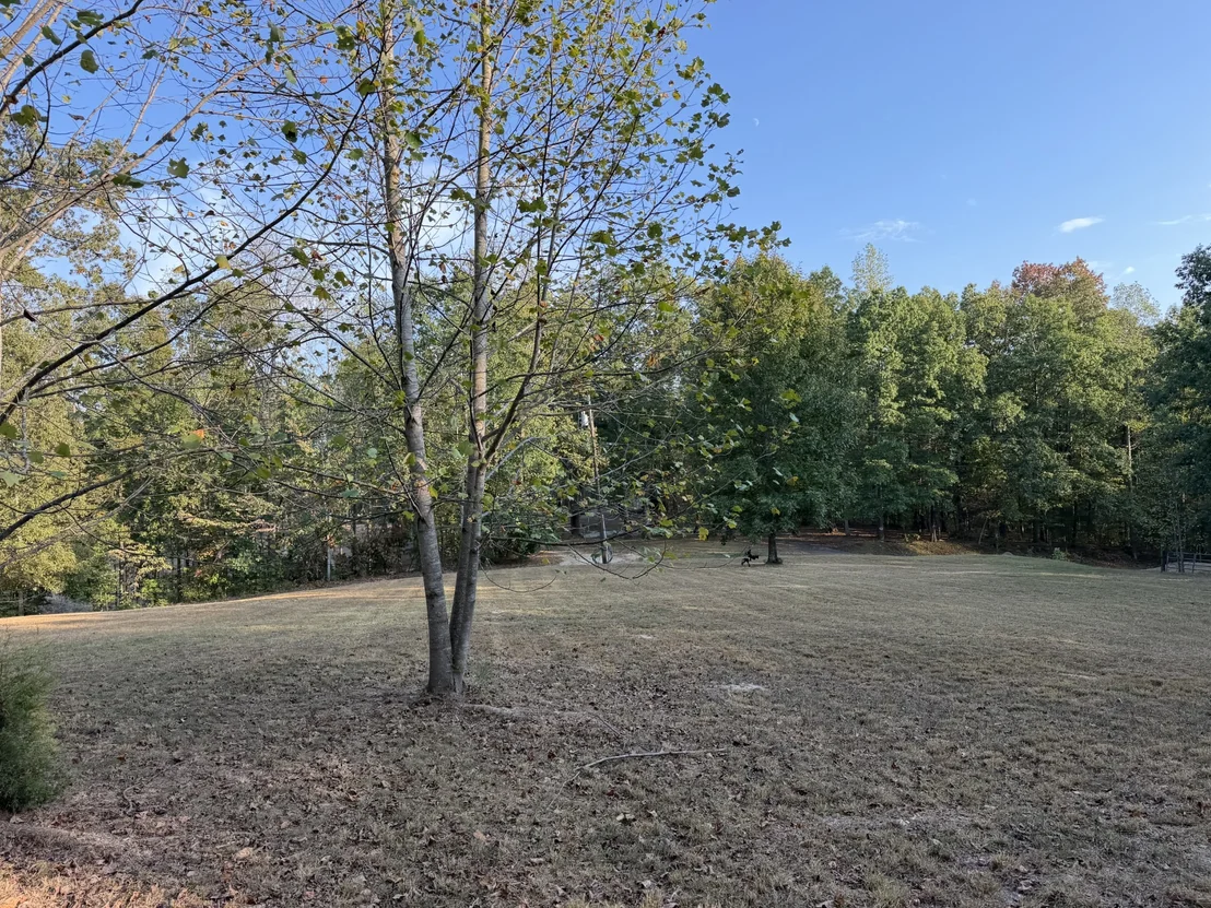Photo of 0 Magnolia Lane