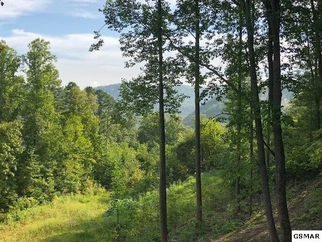 Photo of 2424 Rainbow Falls Lane