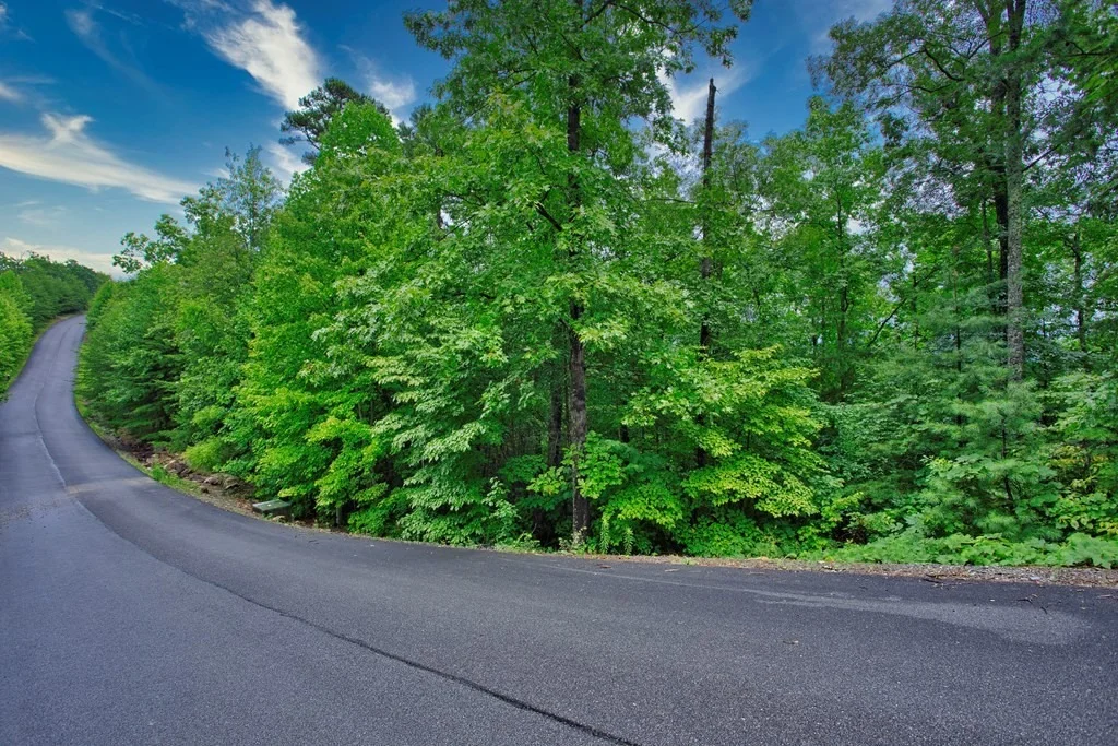 Photo of 19 STACKSTONE Road