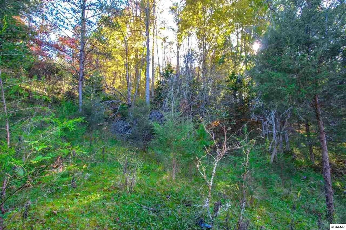 Photo of 2464 Fowler Road