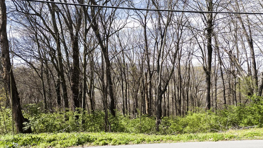 Photo of 269 Whitehall Road