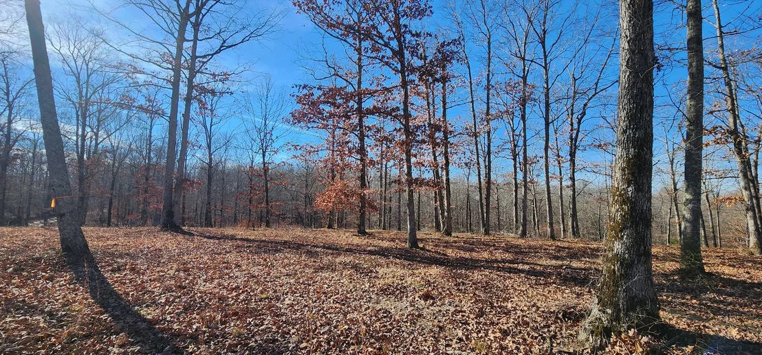 Photo of 1090 Brown Mill Rd