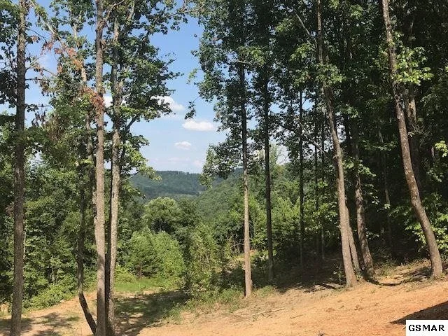 Photo of 2424 Rainbow Falls Lane