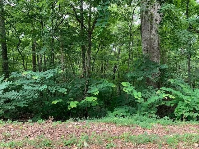 Photo of 24 Booker Rd