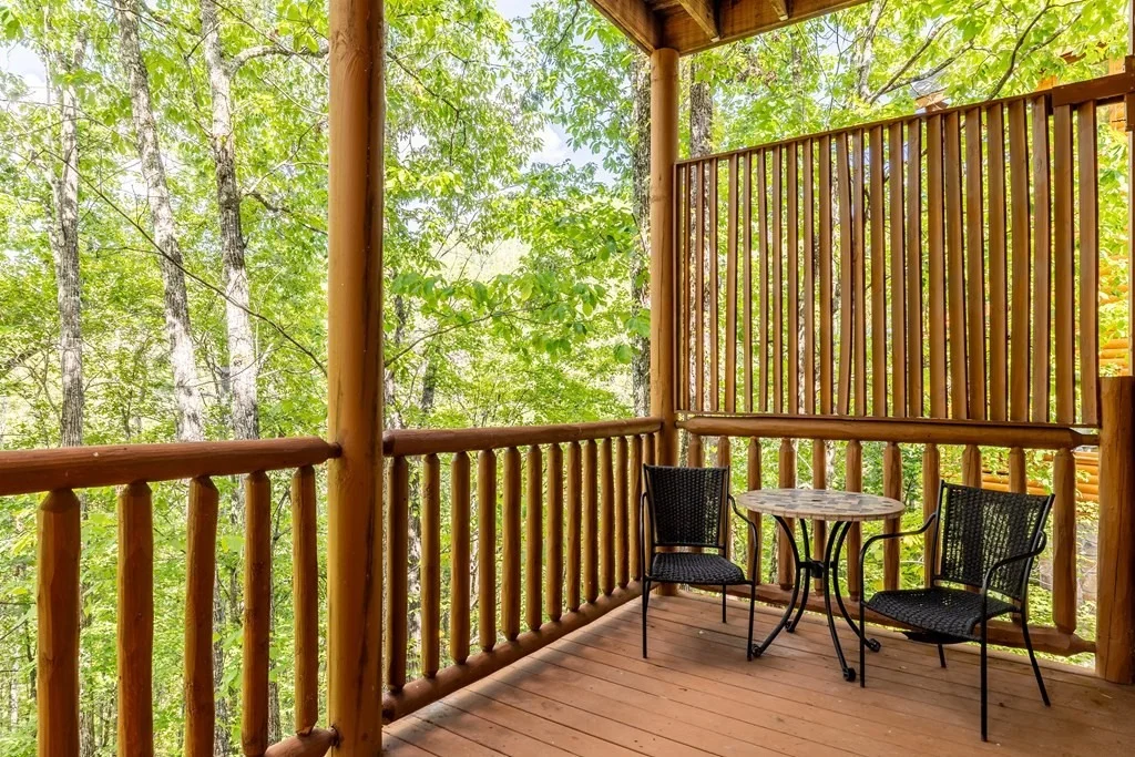 Photo of 854 Black Bear Cub Way