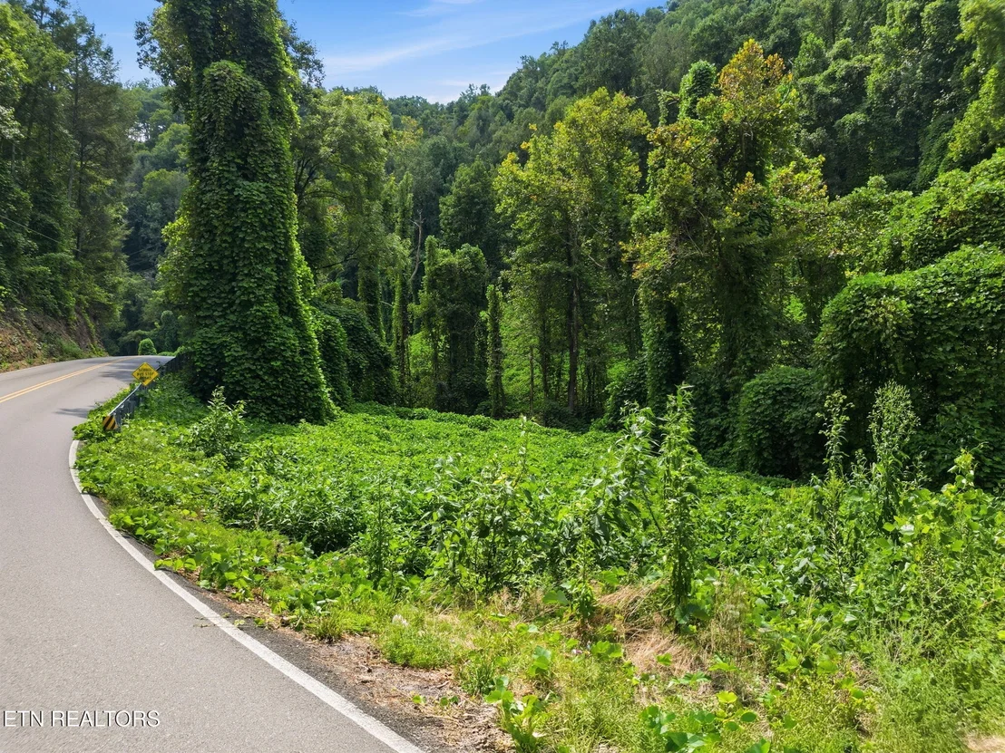 Photo of 3910 Wilhite Rd