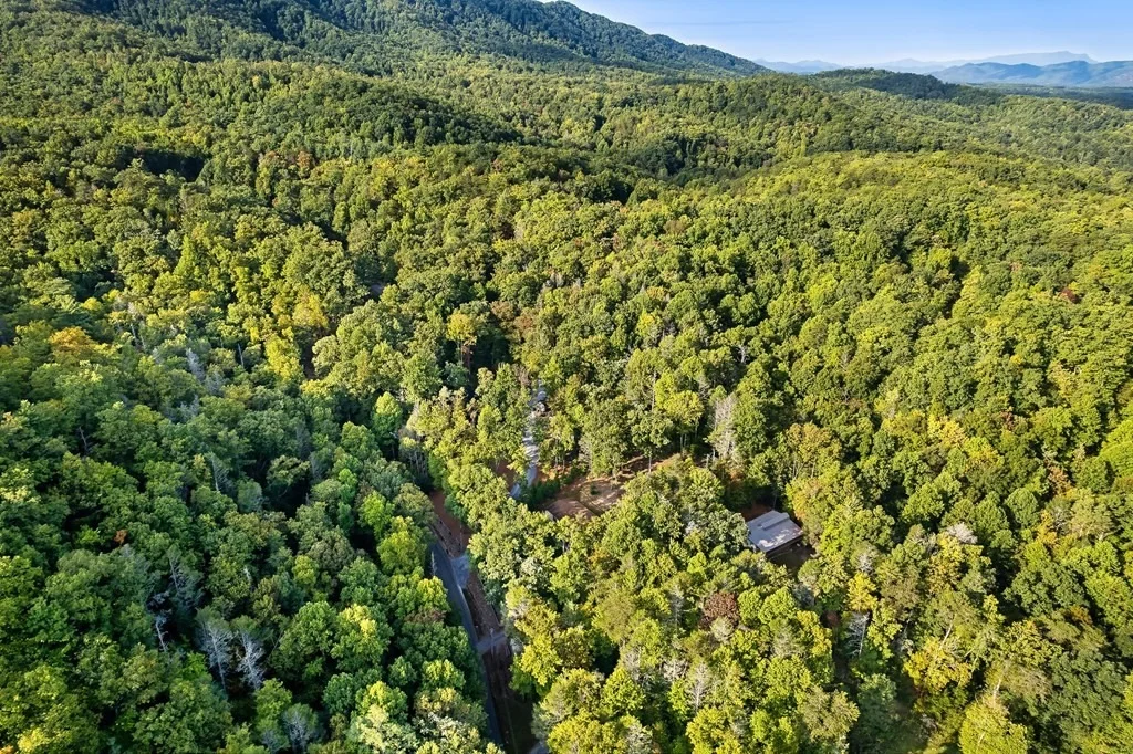 Photo of 3950 Forest Trail Drive
