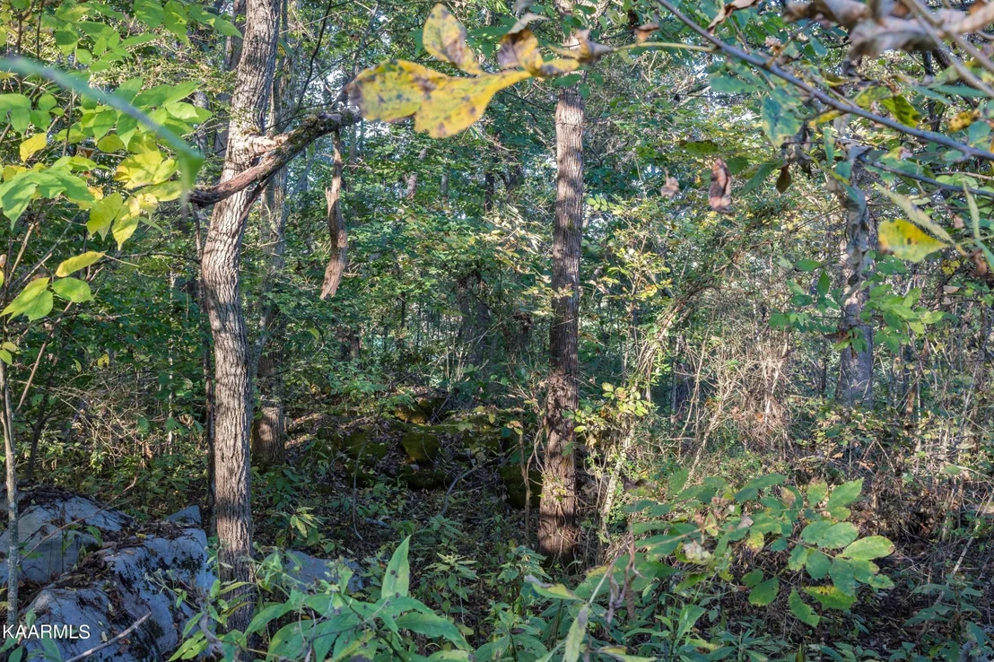 Photo of 6 Spring View Drive