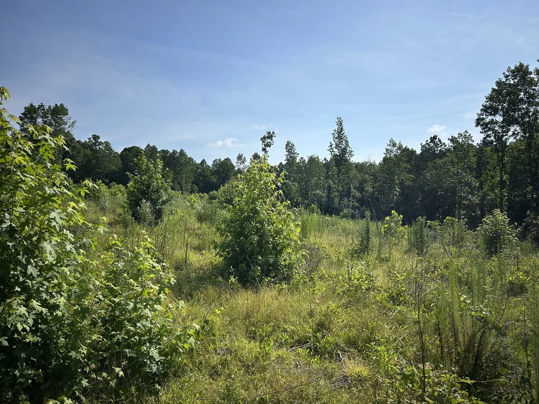 Photo of 2853 Old Natchez Trace Trail