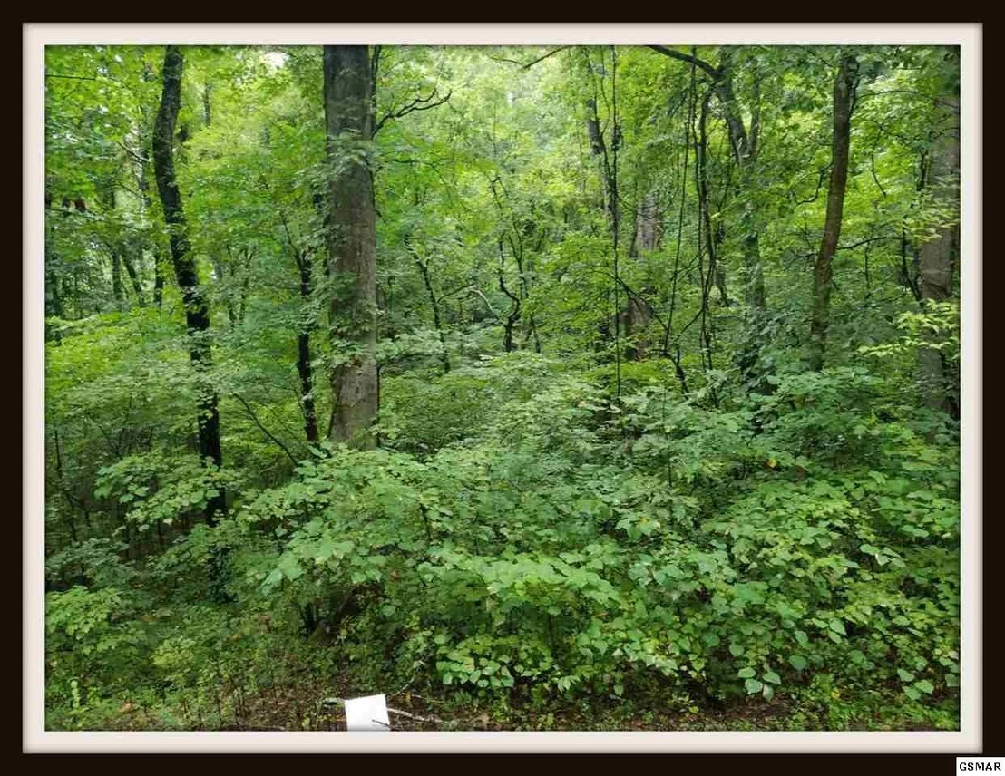 Photo of 9 Blowing Cave Road