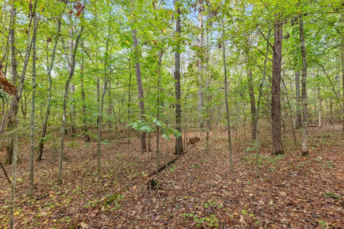 Photo of 0 Carolyn Drive