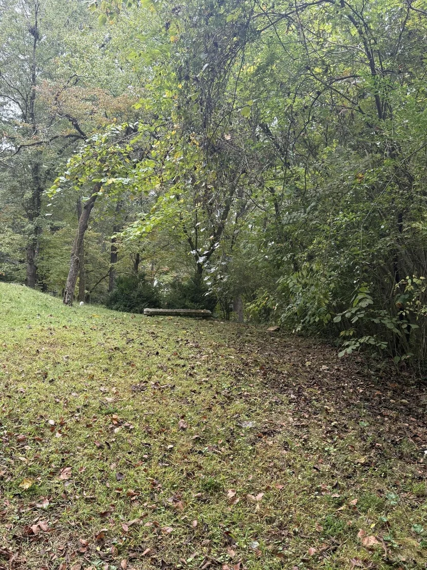Photo of 4110 McCahill Road