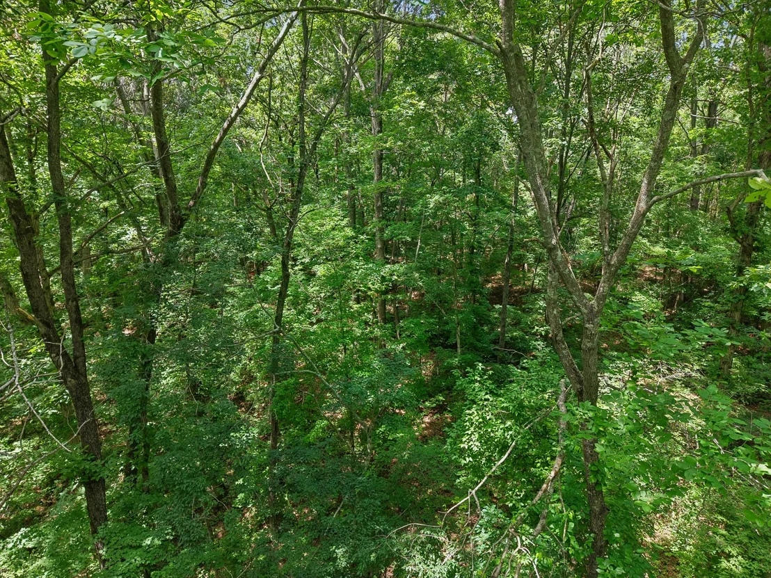 Photo of 7368 Walker Rd