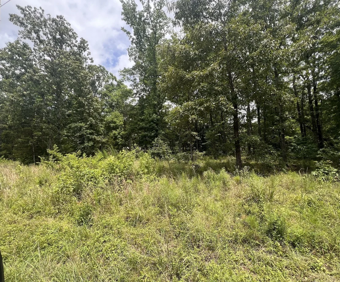 Photo of 16 Lake View Drive