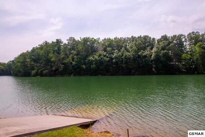 Photo of 3553 Needles Way