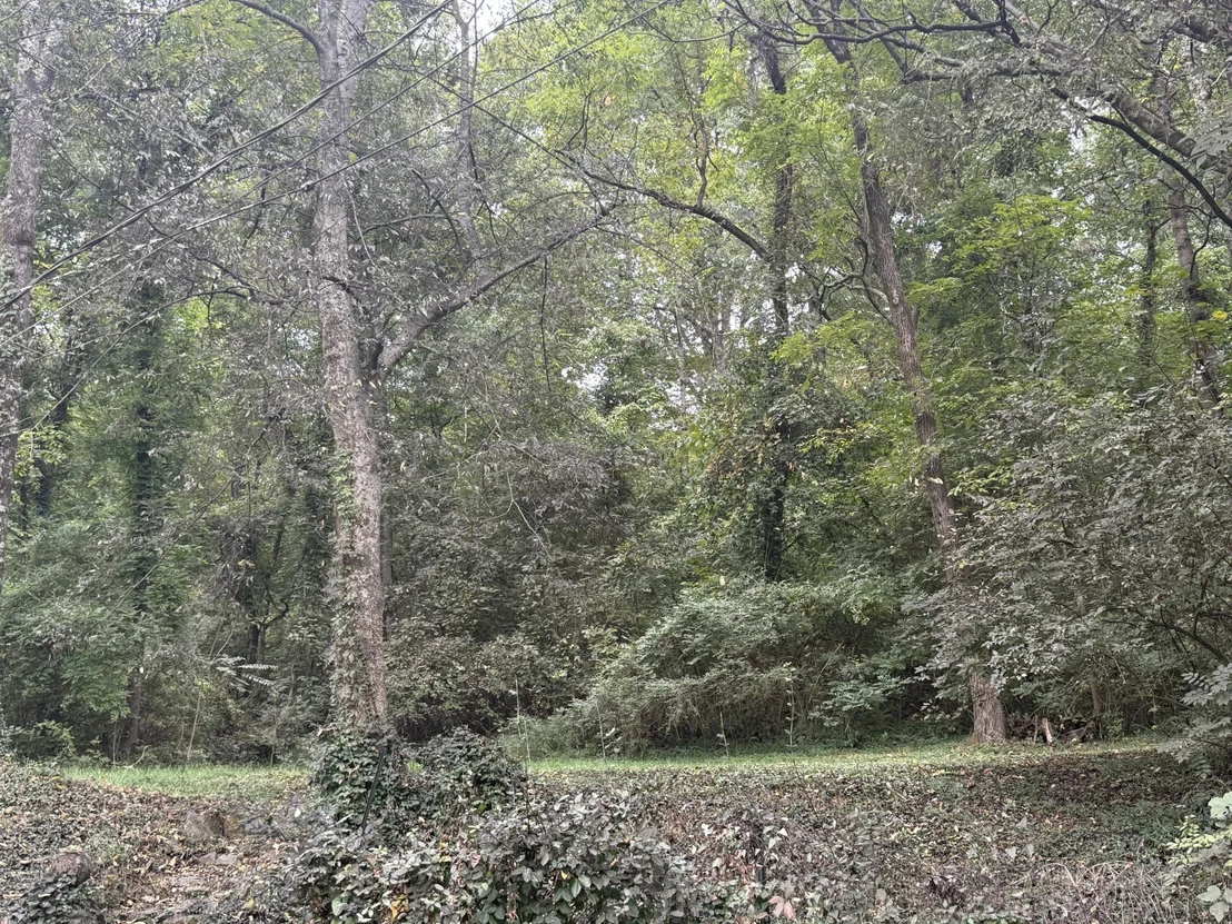 Photo of 4110 McCahill Road