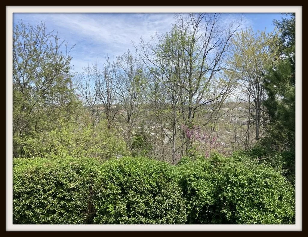 Photo of 2229 Battle Ground Drive