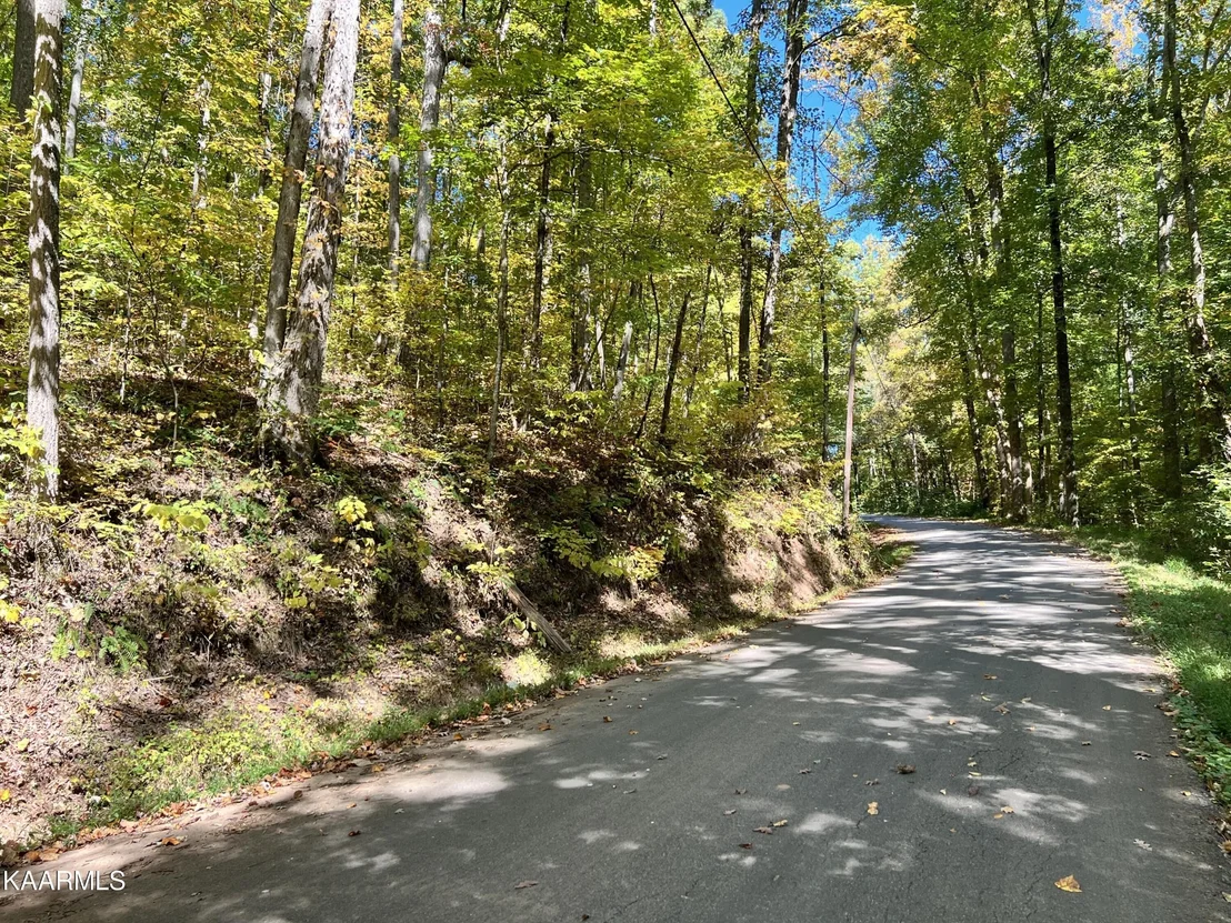 Photo of 1875 Dyer Hollow Rd