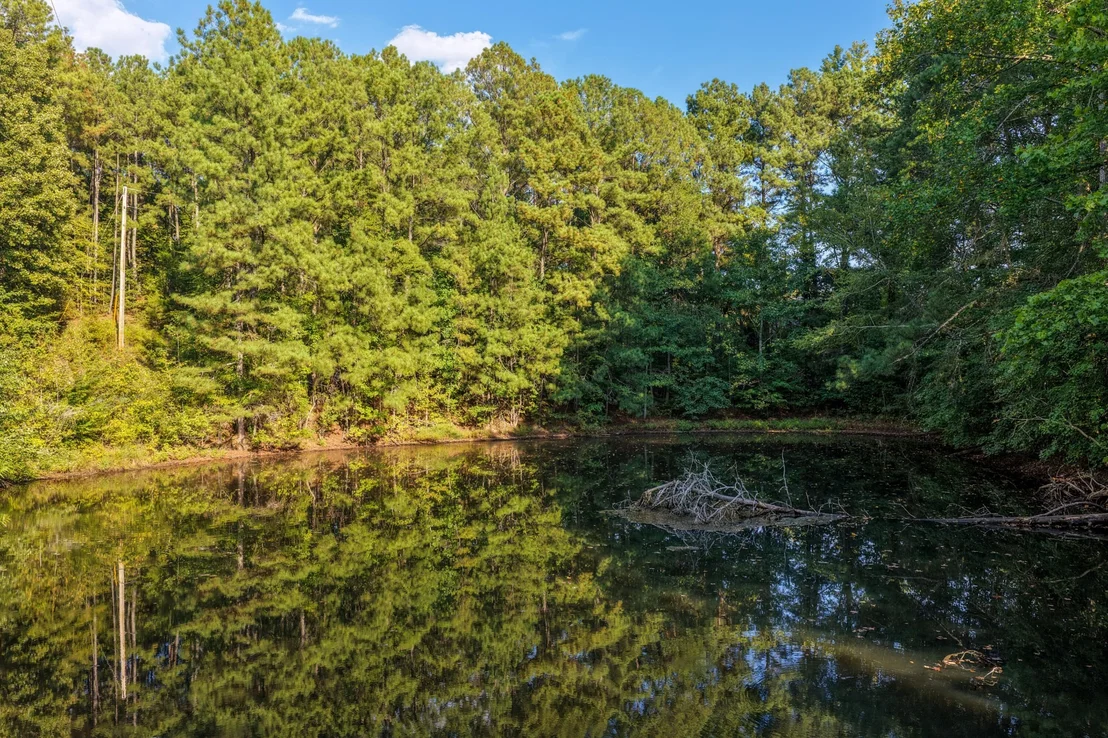 Photo of 192 Dover Road NE