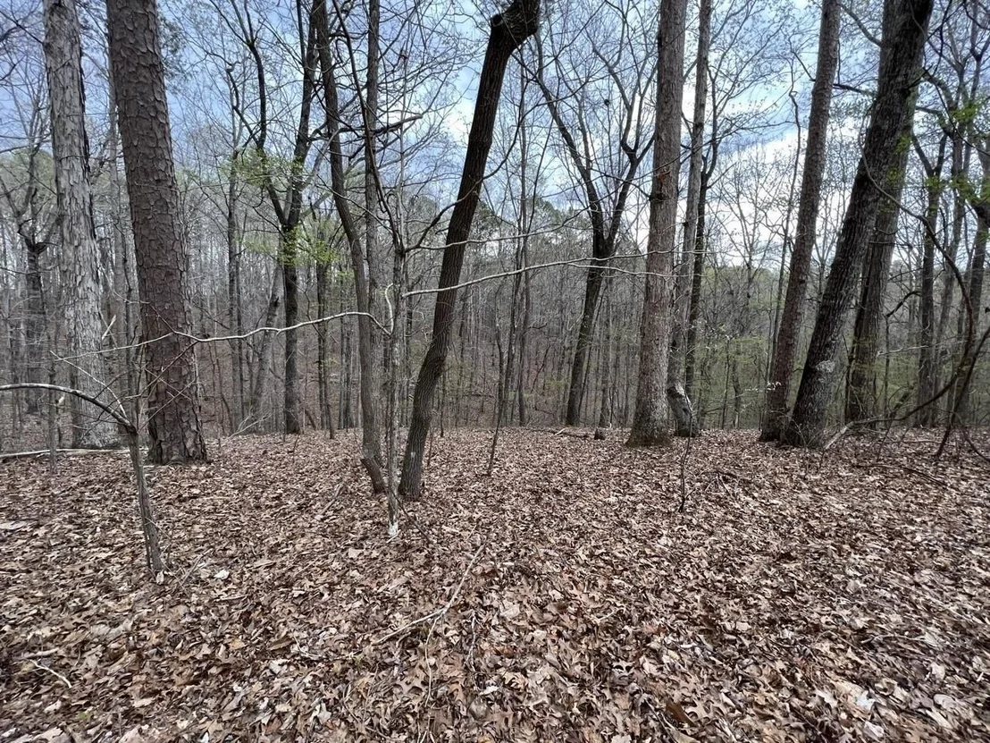 Photo of 0 LAKE BLUFF PATH