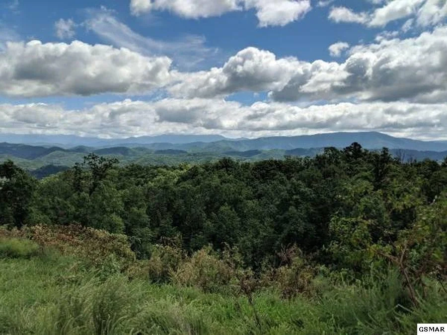 Photo of 3240 Laurel Cove Trail