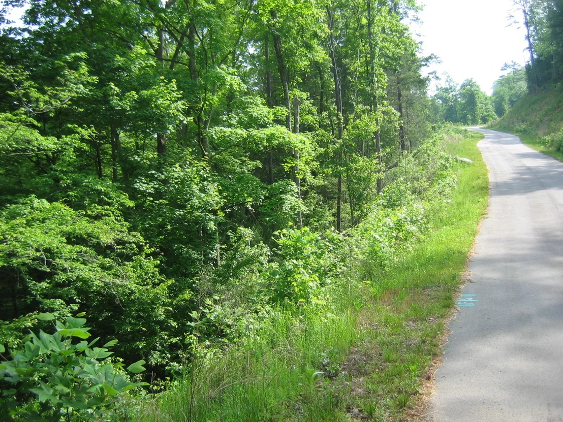 Photo of 731 Tanasi Tr