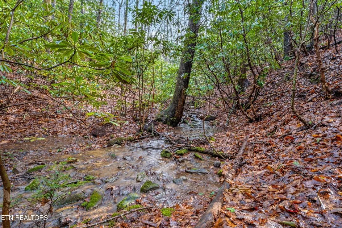 Photo of 3824 Bear Camp Way
