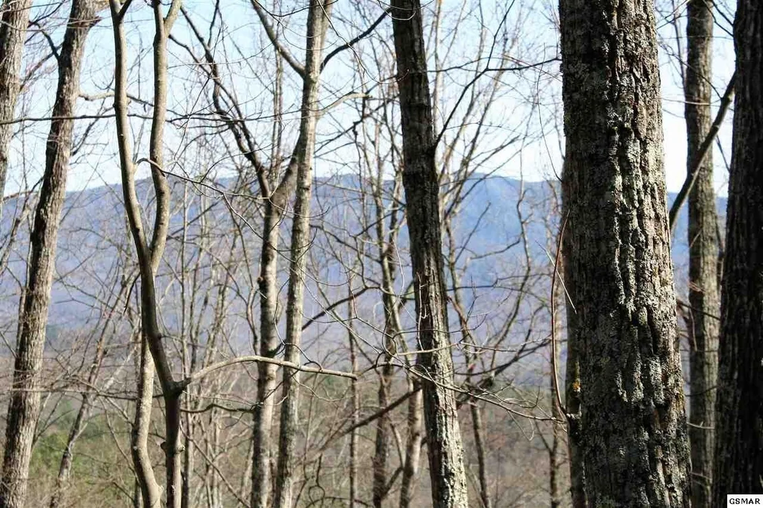 Photo of 4105 Suttons Road