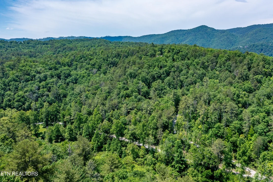 Photo of 0 Chilhowee Loop