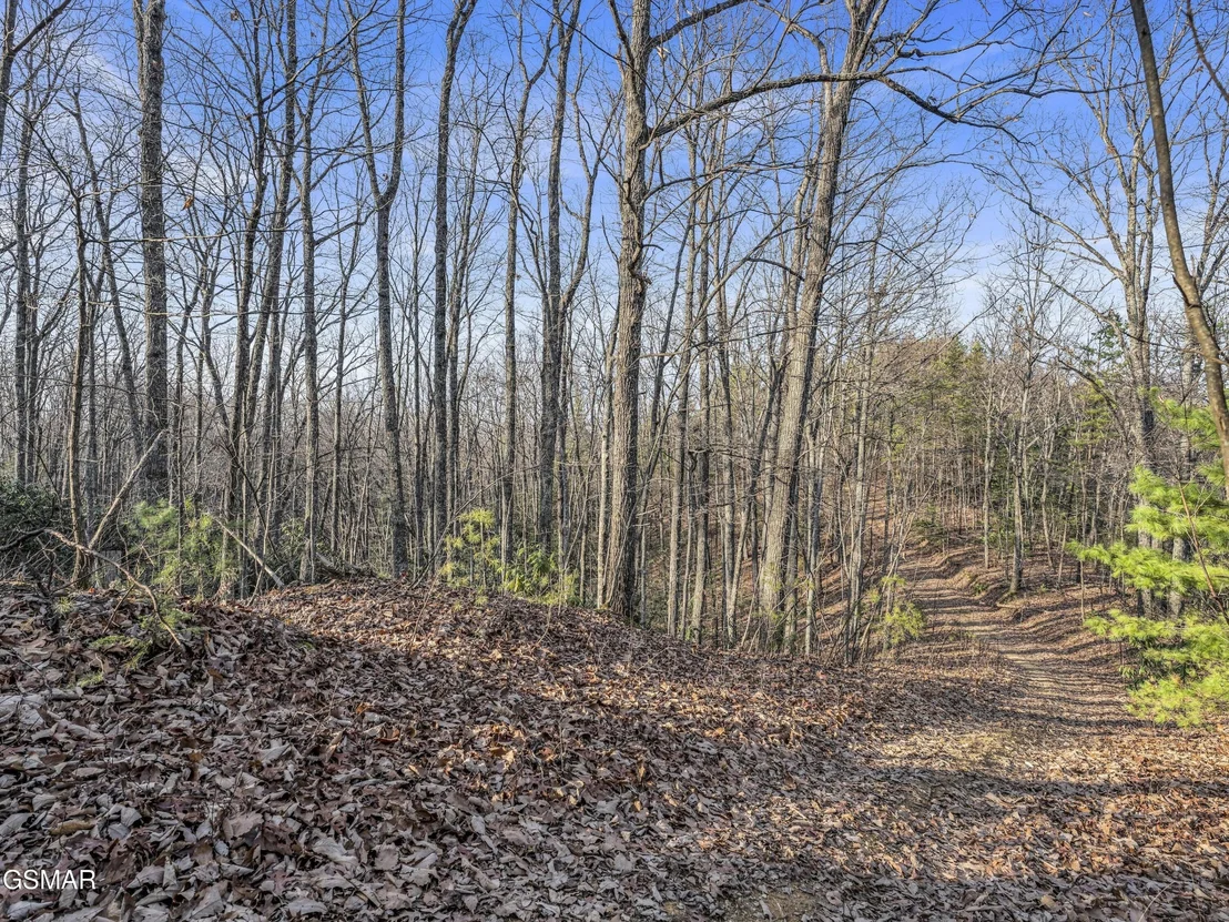 Photo of 3519 Forest Trails Drive