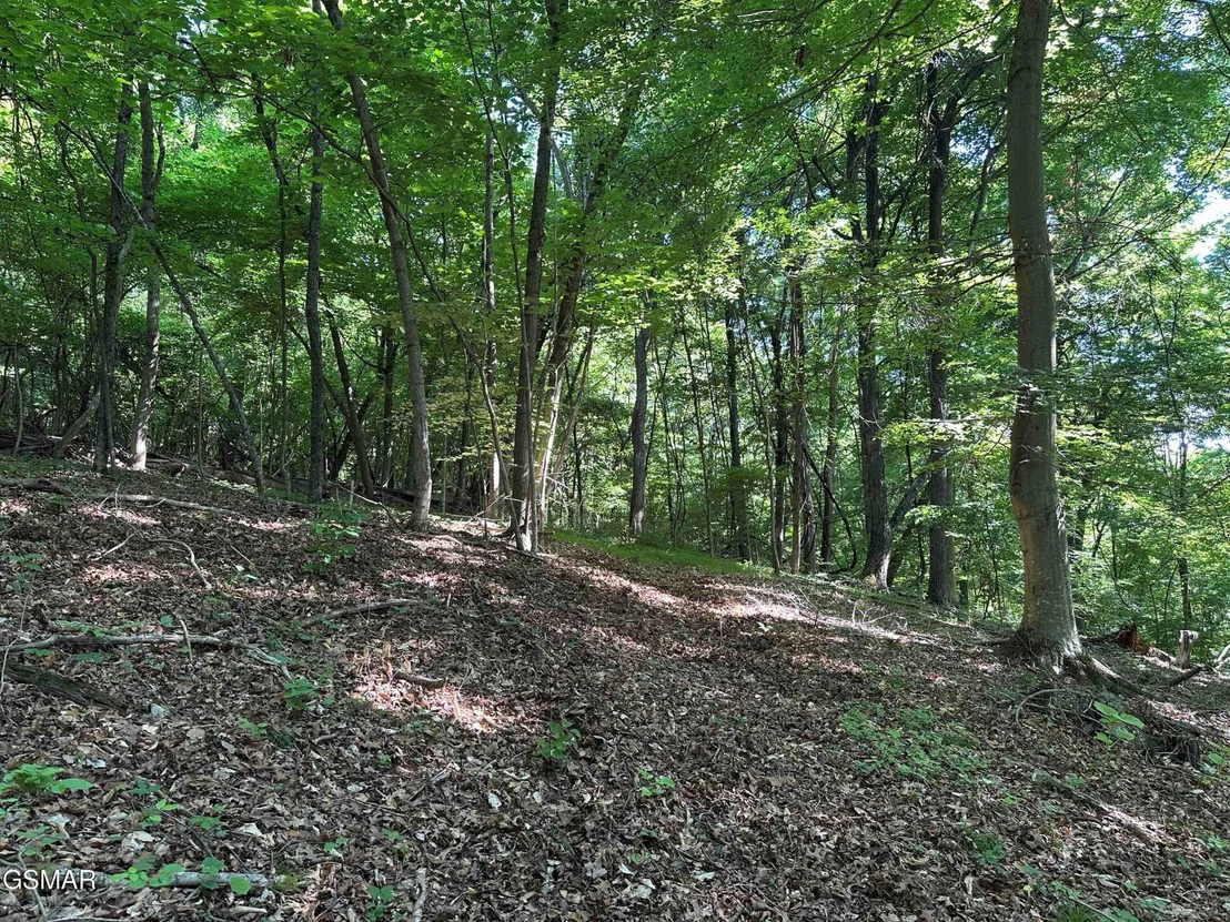 Photo of 1820 Babbs Mill Road