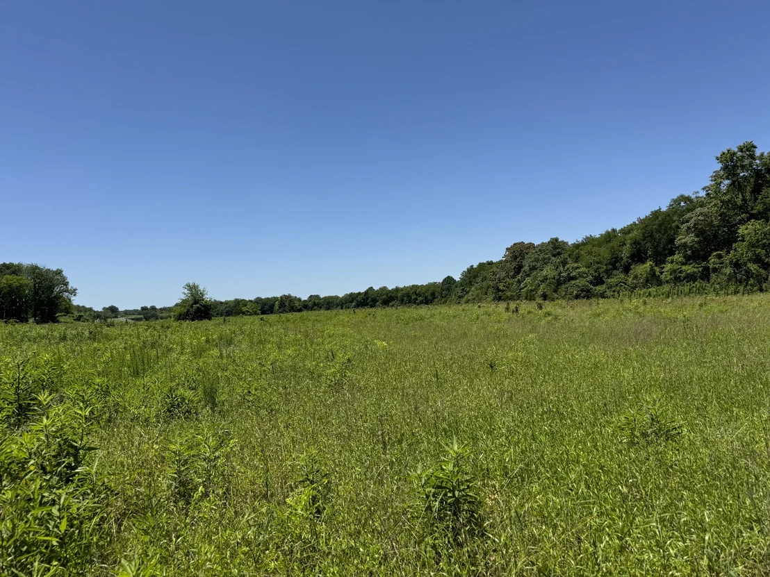 Photo of 2543 Highway 41 S