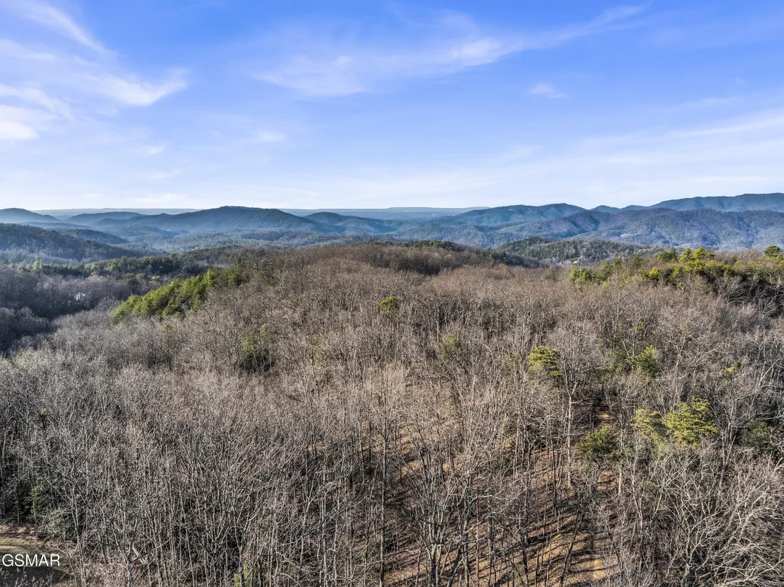 Photo of 3519 Forest Trails Drive