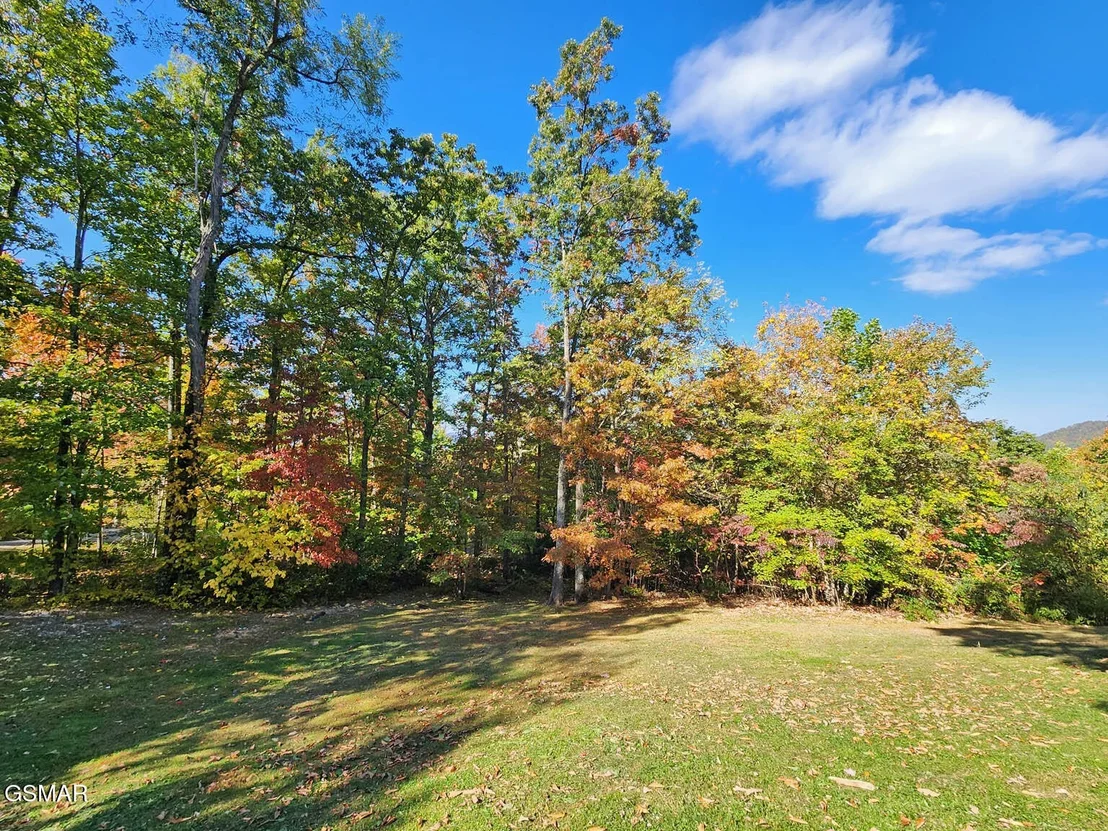 Photo of 3719 Cinnamon Way