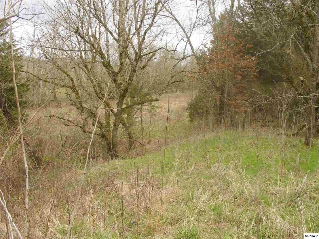 Photo of 1193 Flat Creek Road